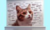 Cat Memes: Your Guide to Feline Internet Stardom