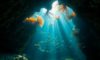 Belize Diving: Explore the Hidden Wonders Beyond the Blue Hole