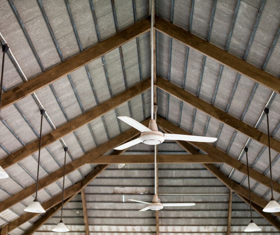 Ceiling Fans(3)
