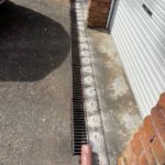 Termite Protection: Identify Coverage for Your Home