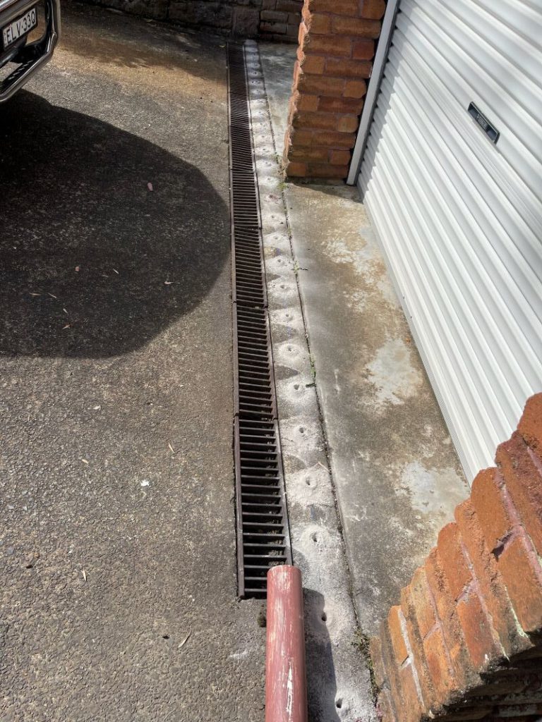 Termite Protection: Identify Coverage for Your Home