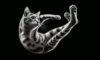Cats Always Land on Their Feet: Exploring This Intriguing Phenomenon