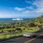 Scenic Routes and Hidden Gems on a Maui Upcountry Trip