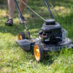 Grass Cutting Services in Yeovil: Key Tips for Your Lawn