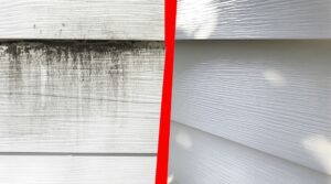 full exterior house wash