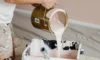 Succeed in Sydney’s Humidity with Exterior Paint Jobs Tips
