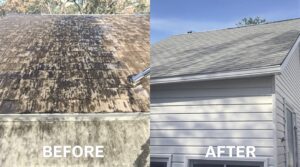 Unlock the Essential Benefits of Soft Washing for Effective Home Care