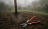 Garden Maintenance Tips for All Seasons in Martock
