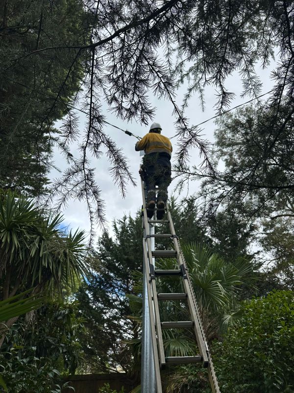 Electrical Defect Notice Response: Mid North Coast Insights